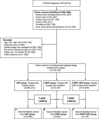 Risk and prognosis of secondary bladder cancer after radiation therapy for pelvic cancer